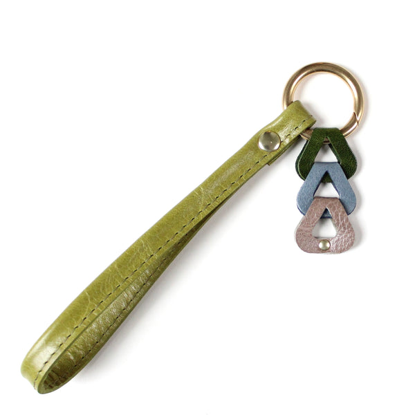 color study key fob: 3 of 14