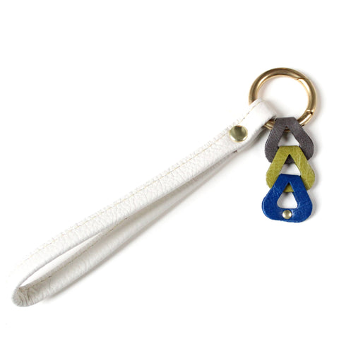 color study key fob: 7 of 14